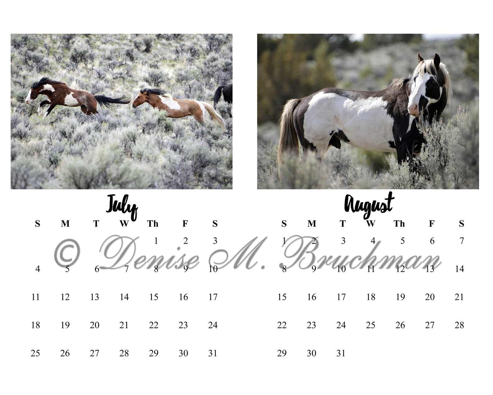 Printable 2021 Wild Horses Calendar Digital Download Monthly Etsy