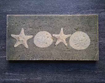 Ready to Ship Beach X's and O's Stone Photo Trivet - Rustic Sand Dollar Kitchen Gift for Beach Lover