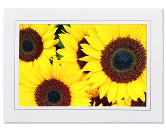 Sunflower Stationary Photo Note Card - Sunflower Photo Card for Her - Flower Sympathy Note Card - Flower Photo Birthday Card
