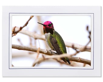 Pink Hummingbird Photo Note Card Stationery - Blank Inside Hummingbird Stationery for Her - Blank 5x7 Hummingbird Card with Envelope