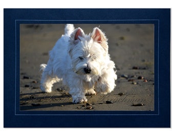 Blank Beach White Westie Dog Photo Note Card Stationery - West Highland White Terrier Dog on Beach Card for Dog Lovers