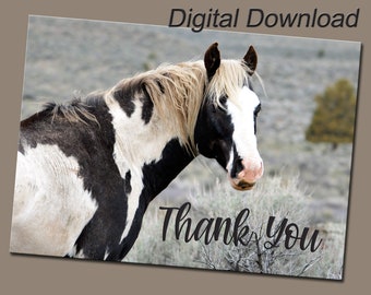 Printable Stationery Wild Mustang Photo Thank You Card - Digital Download Print Your Own Wild Horse Photo Greeting Cards