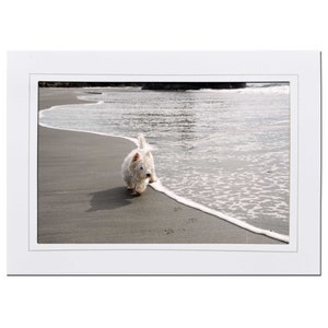 Carte de plage blanche chien Westie papeterie de plage - carte d'anniversaire de Westie de plage - carte de sympathie de Westie de plage - carte de correspondance avec photo Westie