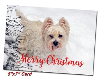 5"x7" Westie Dog in Snow Photo Christmas Cards - 5x7 Westie Dog Lover Christmas Card Set with Envelopes