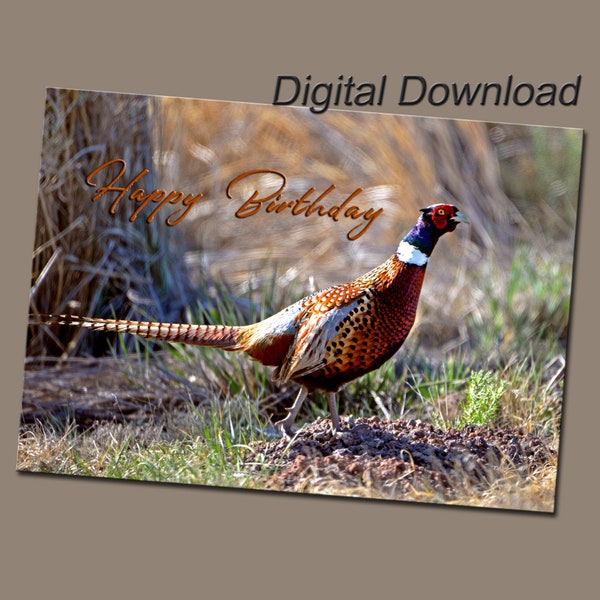 Printable Ring-necked Pheasant Photo Birthday Card Stationary - Digital Download Print Your Own Pheasant Bird Photo Greeting Card for Him