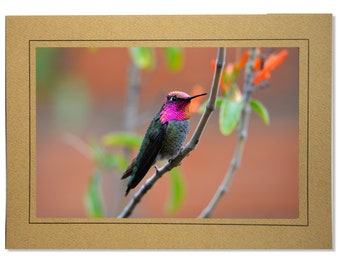 Blank Pink Hummingbird Photo Note Card - Blank Inside Hummingbird Stationery for Her - Blank 5x7 Hummingbird Card with Envelope