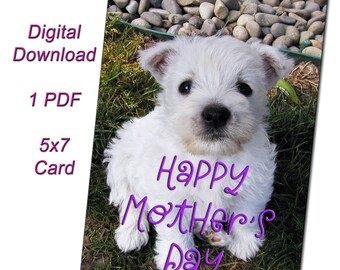 Printable White Westie Dog Photo Mother's Day Card - Print Your Own Dog Greeting Card for Mom - Digital Download Cards for Dog Lovers