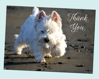 Printable Beach White Westie Dog Thank You Card - Print Your Own Dog Greeting Card - Digital Download Photo Greeting Cards for Dog Lovers