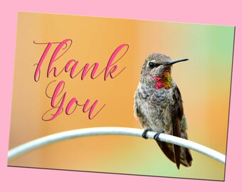 Digital Download Printable Pink Green Hummingbird Thank You Card - Print Your Own Greeting Card PDF - Digital Photo Greeting Cards