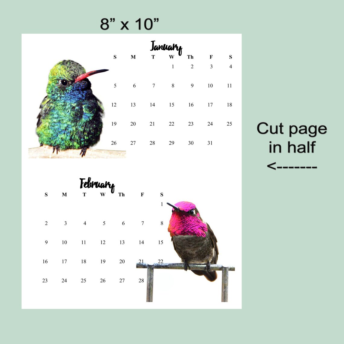Digital Download 2021 Hummingbird Calendar Download Monthly Etsy
