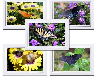 Butterfly Stationary Set of 5 Photo Note Cards - Butterfly Photo Greeting Cards Blank Inside - Butterfly Gift for Her Under 25
