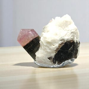 16gr Bicolor Tourmaline Specimen - Pink Tourmaline crystal specimens