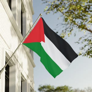 Double Sided Flag - Palestine Flag, Outdoor Decor, Home Decor, Patriotic Display, Celebration Flag, Festival Flag