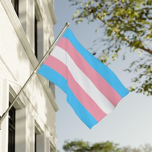 May include: A transgender pride flag waving in the breeze. The flag features horizontal stripes of light blue, pink, white, pink, and light blue. The flag is mounted on a silver pole, with a building and tree in the background.