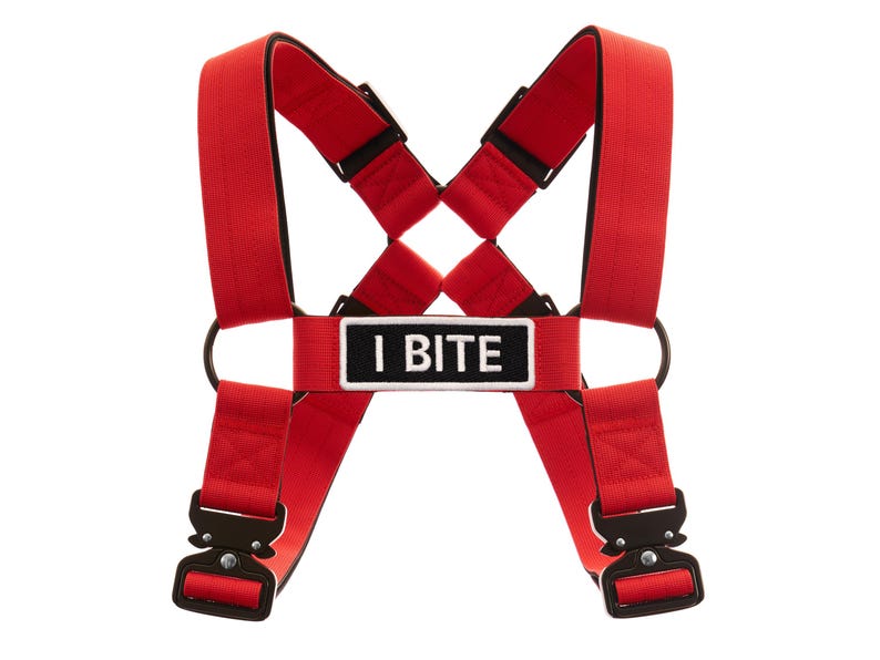 Pu&ograve; includere: Pettorina rossa per cani con fibbie nere e una toppa bianca che dice "I BITE".