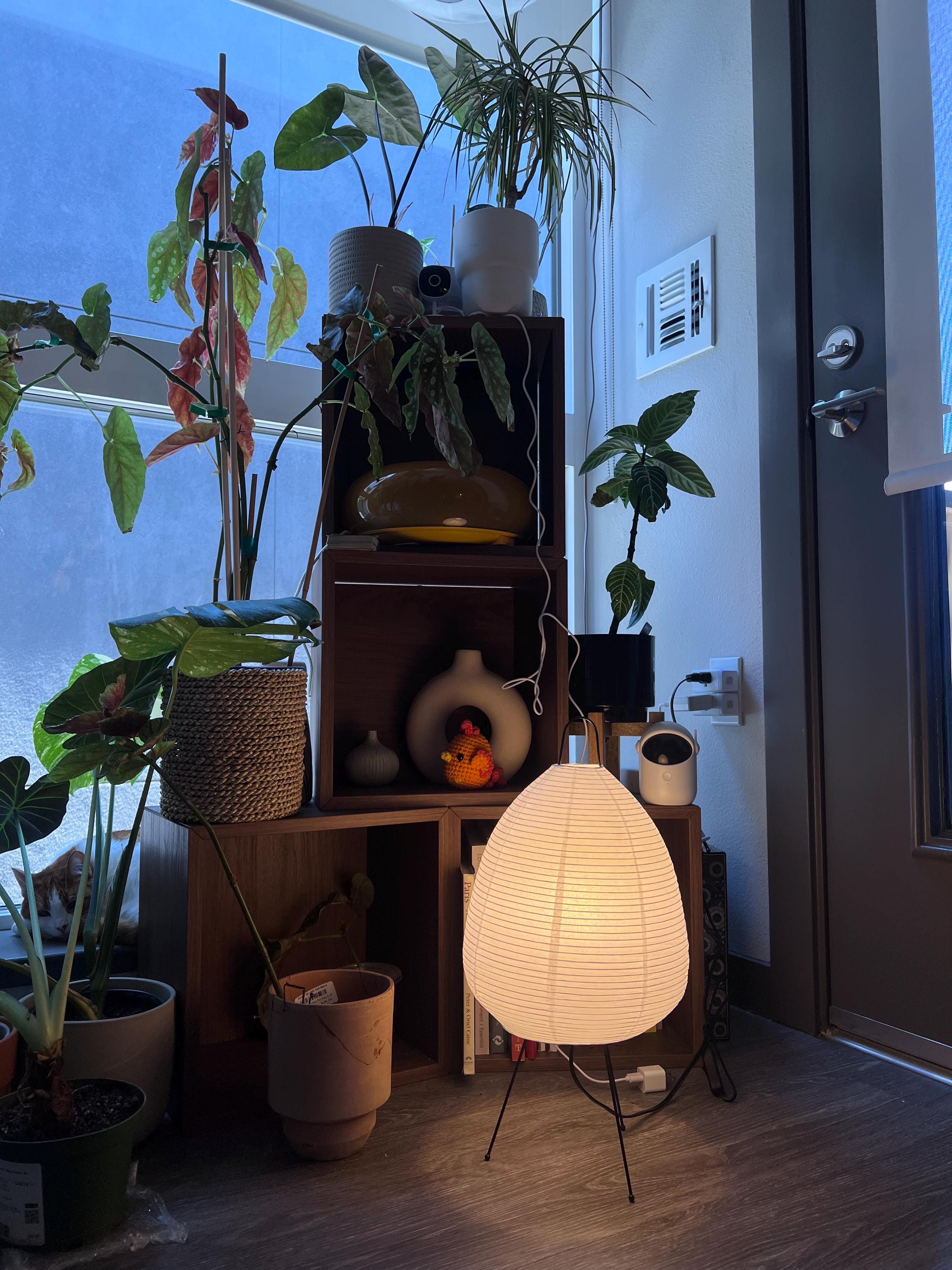Noguchi Akari Rice Paper Lamp | Japanese LED(E27) Lamp | 3 Light Modes | Warm, Natural, Bright | Cozy Decor | Minimalist Style | US Plug |