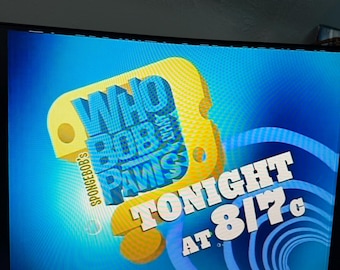 SpongeBob WhoBob WhatPants Premiere (10/13/08) & Sizzlin Summer Block (Summer 2008) VCR Recording w/ OG Commercials DVD Blank Lost Media