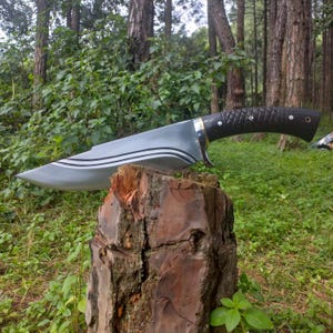 10 Inch Full Tang Bowie Knife| High-Grade Carbon Steel| Tactical Blade| Knife| Expertly Water-Tempered| Perfect Gift for Him