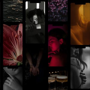 May include: A collage of artistic images, including a close-up of water with sunlight, a person in shadow, a flower, and a person with a red glow. Other images include a person holding a book, and a person with a light.