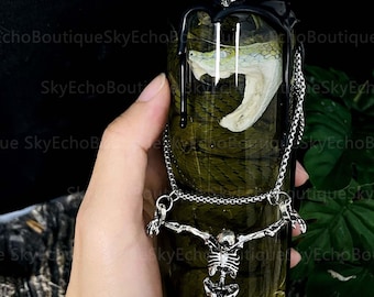 Echtes Schlangenpräparat, echtes Tierpräparat, sauber und vollständig, Präparat, sicher sterilisiert und gebleicht, Vintage-Dekoration