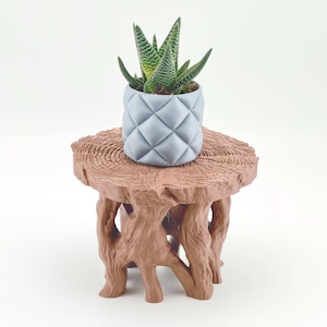 Puede incluir: Una pequeña planta suculenta en una maceta azul claro con diseño de diamantes se encuentra sobre una mesa auxiliar marrón con forma de tocón de árbol. La planta tiene hojas a rayas verdes y blancas. La mesa tiene una superficie texturizada.