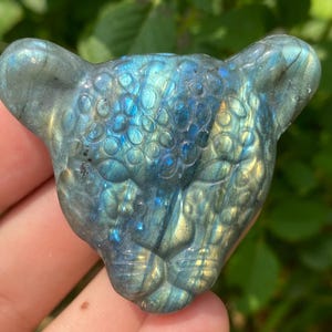 2&#39;&#39;+ Natural labradorite crystal,quartz Crystal,Crystal leopard,leopard specimen,Home Decoration Gifts 1pc