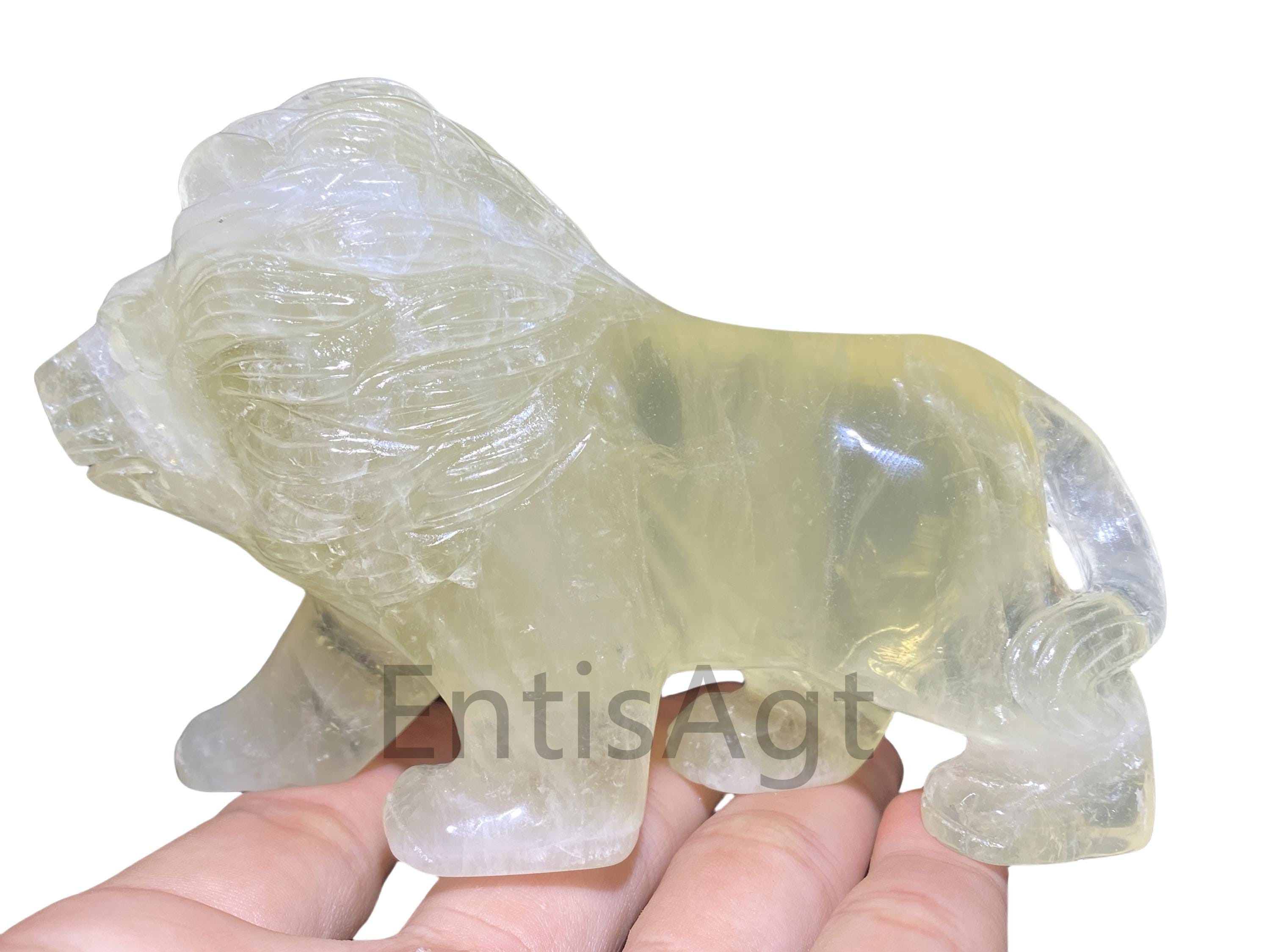 Crâne Sculpté à La Main En Cristal Fluorite Multicolore Serie Realiste Hauteur 128 Mm Largeur 95 Mm 1596 G