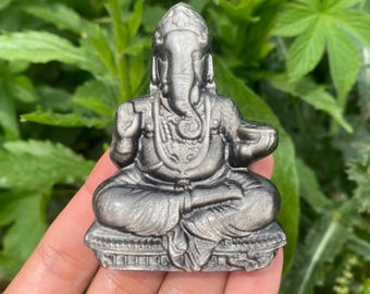Op de afbeelding: Een zilverkleurig beeld van de hindoeïstische godheid Ganesha, zittend in een meditatieve houding. Het beeld heeft ingewikkelde details, waaronder een grote olifantenkop, meerdere armen en sierlijke sieraden. De achtergrond is wazig groen gebladerte.