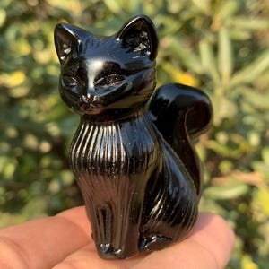 Può includere: Una statuetta di gatto nero lucido con la coda arricciata. Il gatto è scolpito con dettagli, tra cui un petto strutturato e un'espressione facciale serena. La statuetta è tenuta in mano su uno sfondo verde sfocato.