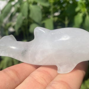 May include: A translucent, carved quartz dolphin figurine. The dolphin is depicted in a streamlined pose, with a smooth, polished surface. The figurine is held in a hand, with a blurred green background.