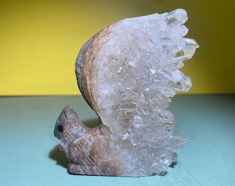 3.15&#39;&#39;+ Natural Clear quartz crystal cluster,quartz Crystal,Crystal squirrel,squirrel specimen,Home Decoration Gifts 1pc