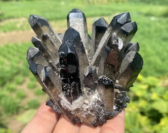 300g+ Smoky Quartz crystal,quartz Crystal,Crystal Cluster ,Smoky Quartz Vug specimen,Home Decoration 1pc