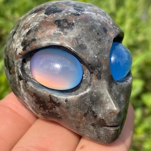 May include: A carved stone alien head sculpture with blue and iridescent eyes. The sculpture is made of a dark grey stone with brown and white speckles.
