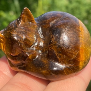 Cristallo di occhio di tigre naturale da 2", cristallo di quarzo, gatto di cristallo, esemplare di gatto di cristallo di occhio di tigre, decorazione per la casa 1 pezzo