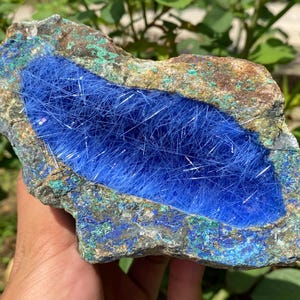 Puede incluir: Un llamativo espécimen mineral con una vibrante formación de cristales azules dentro de una roca rugosa y texturizada. Los cristales azules tienen una apariencia fibrosa, contrastando con los tonos terrosos de la piedra circundante. La superficie de la roca muestra tonos verdes y marrones.