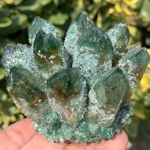 May include: A cluster of green quartz crystals with a frosted, textured appearance. The crystals have sharp points and varying shades of green, with some areas appearing translucent. The quartz is a natural mineral formation.