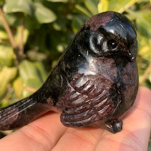 Könnte beinhalten: Eine geschnitzte Vogelfigur aus Stein in Schwarz- und Burgundertönen. Der Vogel hat detaillierte Flügel- und Federgravuren. Die Figur wird in einer Hand gehalten, mit einem verschwommenen grünen Hintergrund.
