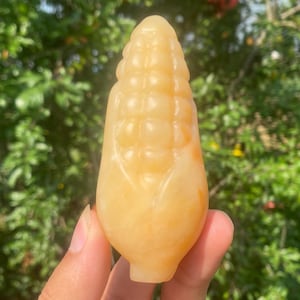 Op de afbeelding: Een gebeeldhouwde, geel-oranje maïskolf figuur. De stenen sculptuur wordt in een hand gehouden tegen een vage groene achtergrond. De maïs heeft gedetailleerde korrels en bladeren.