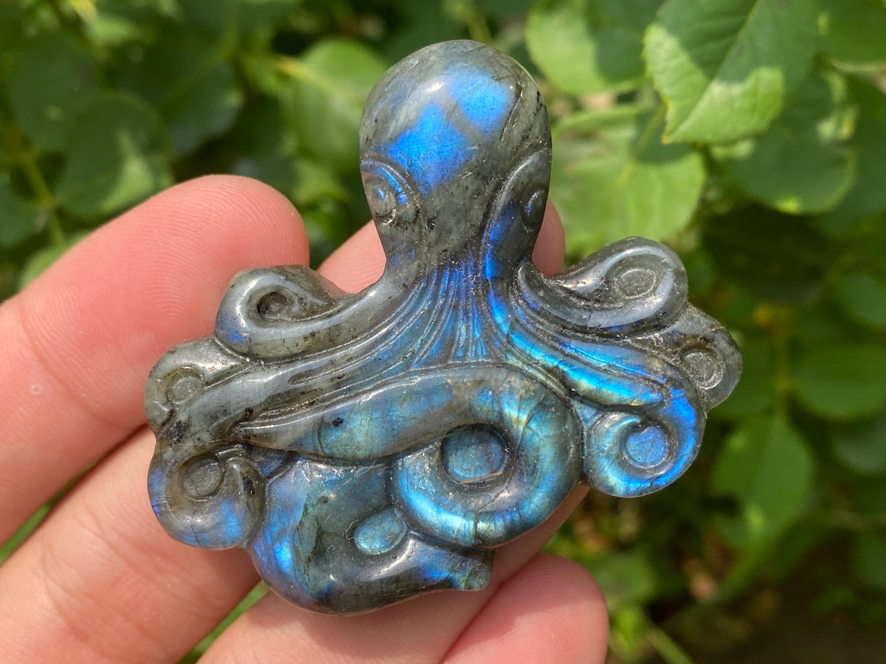 Crystal Octopus - Etsy