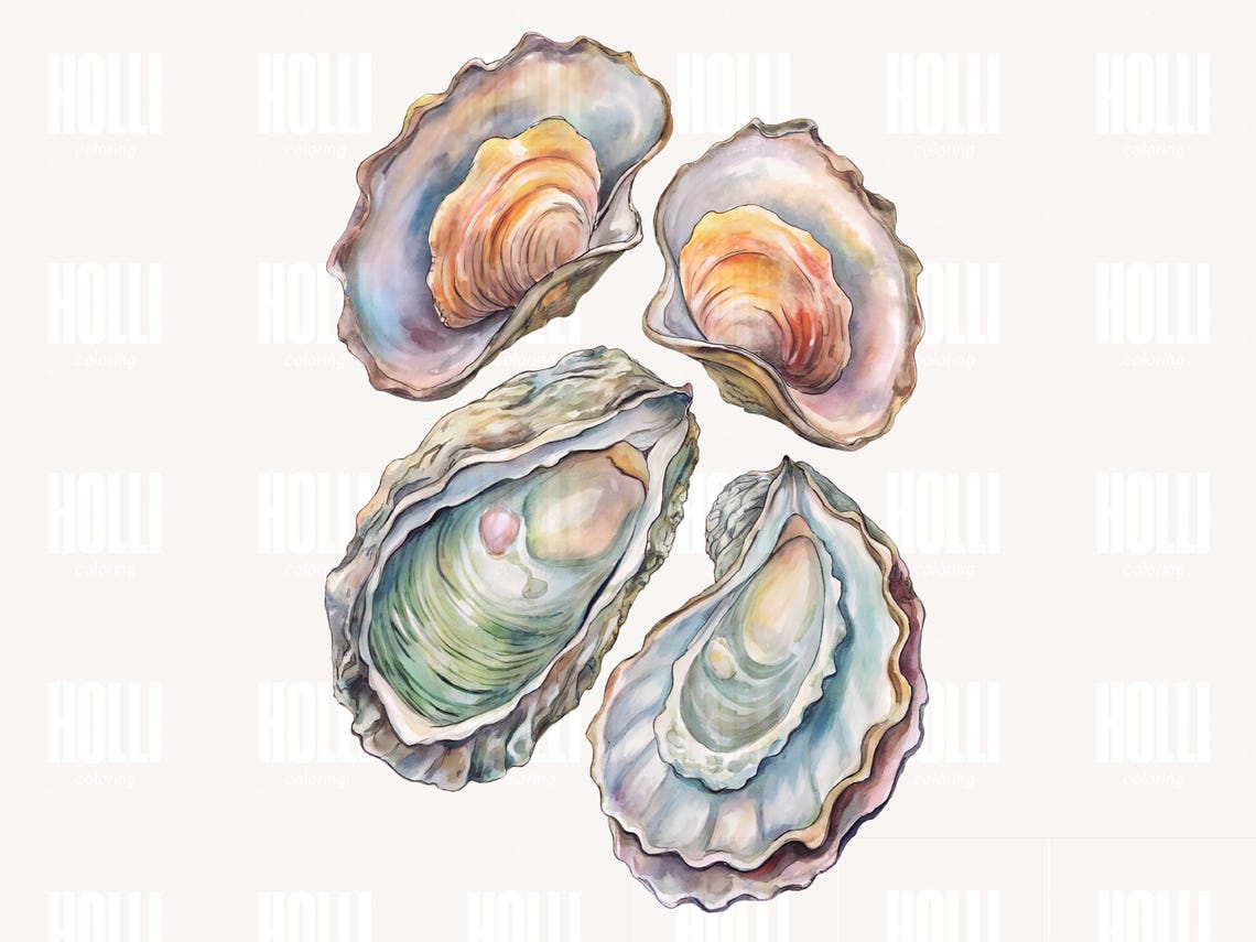 Watercolor Pastel Oysters PNG Clipart, Seashell Illustration, Nautical ...