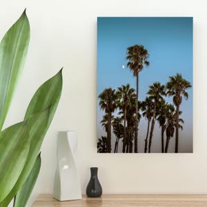Los Angeles Palm Tree Canvas Print: California Sunset Wall Art