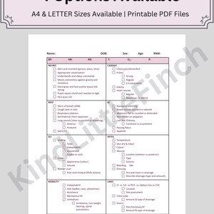 Nurse Head-to-toe Assessment Sheet, Nursing Study Guide, Nurse Report ...