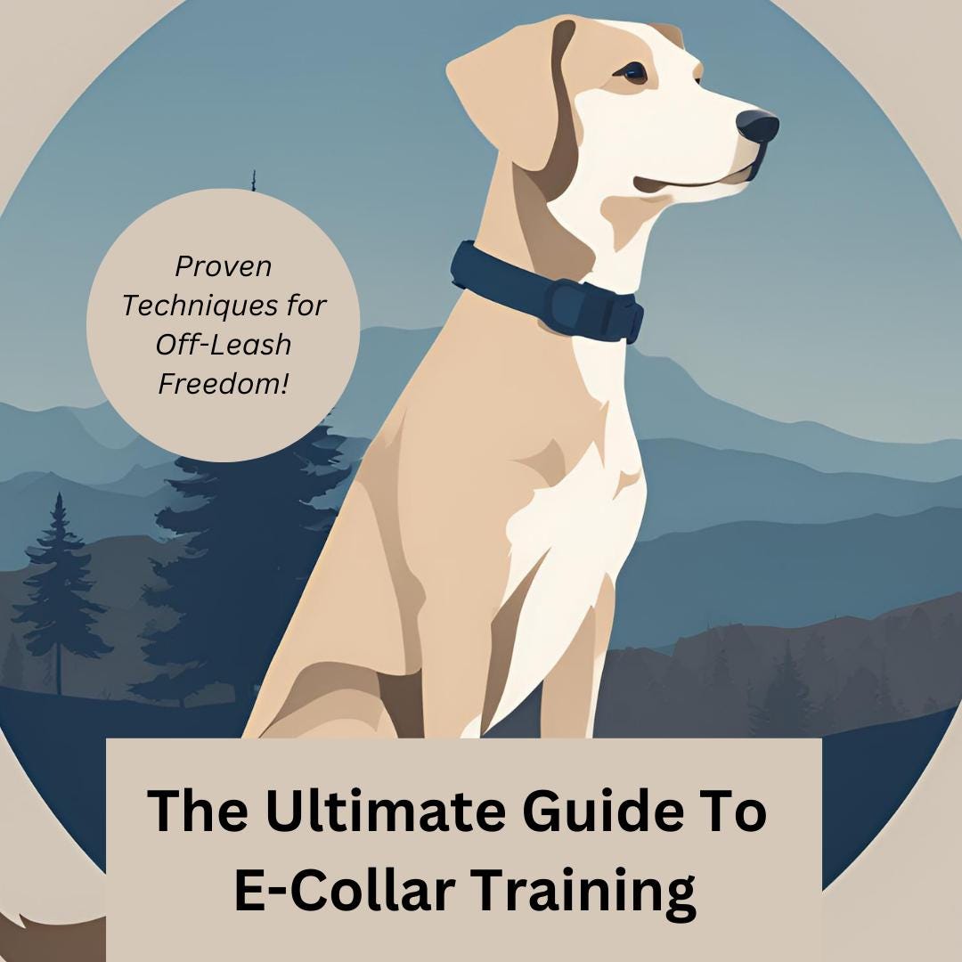 The Ultimate Guide to E-collar Training - A Step-by-step Approach to ...