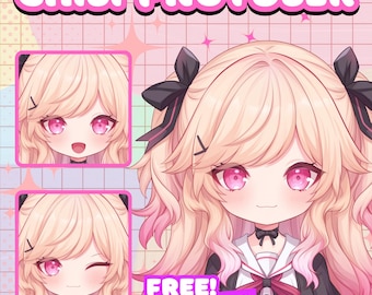 Custom Chibi PNGTuber Model: Live2D-Ready Avatar for Twitch, YouTube