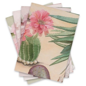 May include: A stack of cards featuring a watercolour illustration of a pink cactus flower, a green cactus, and a green aloe plant on a beige background.