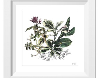 Tropical Bloom Giclée Floral Print | Flowers | Floral Art | Botanical | Wall Art | Home Decor