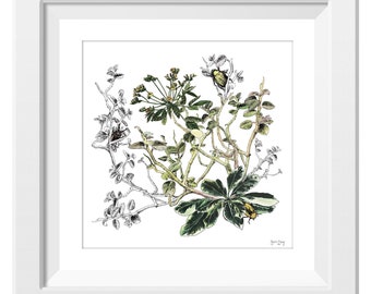 Tropical Bloom Giclée Floral Print | Flowers | Floral Art | Botanical | Wall Art | Home Decor