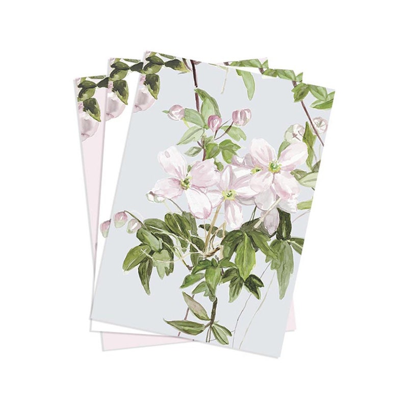 SAMPLES Classic Clematis Mural All 3 Sample Pack