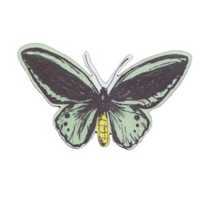 Butterfly Magnets