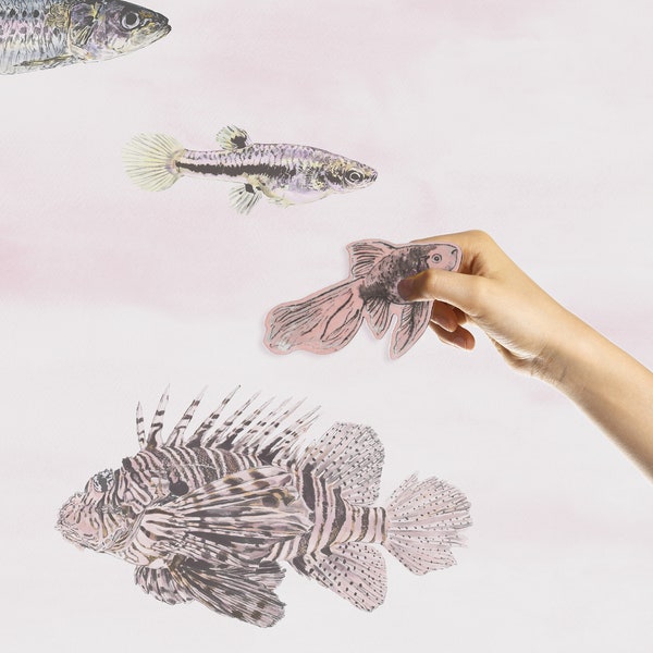 Magnetische Fischtapete – Pink